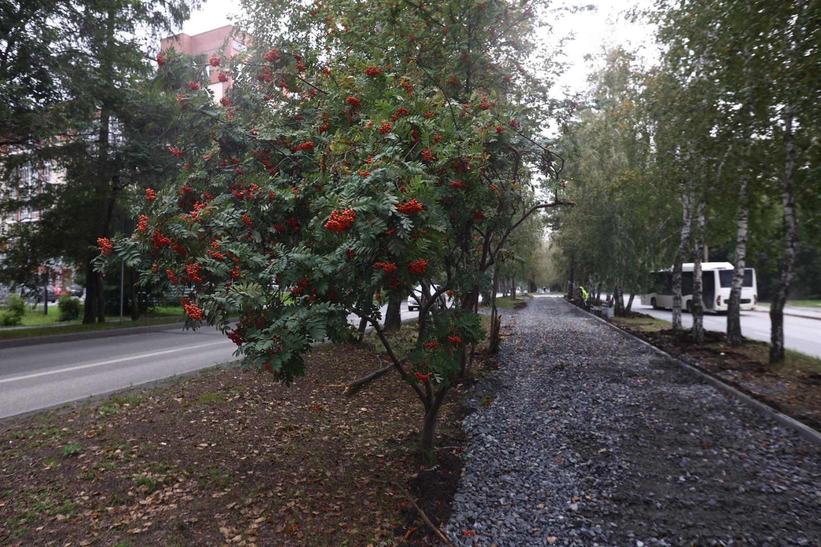 Фото «Садовые диваны и дизайн клумб»: в мэрии Новосибирска рассказали о новом проекте благоустройства улицы Эйхе в Первомайском районе 2 - Сиб.ФМ Фото «Садовые диваны и дизайн клумб»: в мэрии Новосибирска рассказали о новом проекте благоустройства улицы Эйхе в Первомайском районе 2